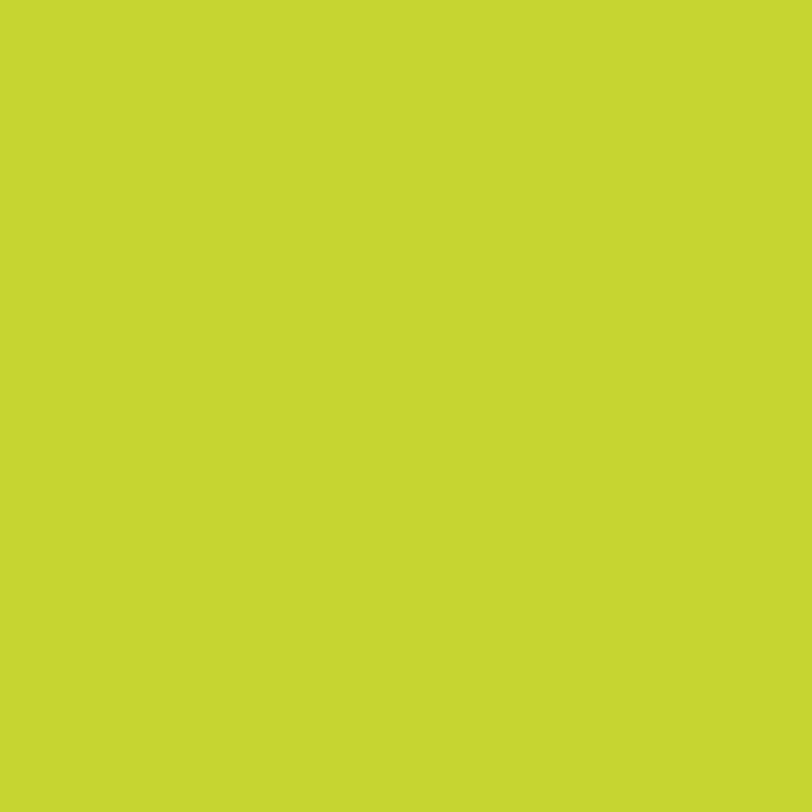 tecno Kopierpapier colors leuchtend grün DIN A3 80 g-qm 500 Blatt (88324451) – Bild 4