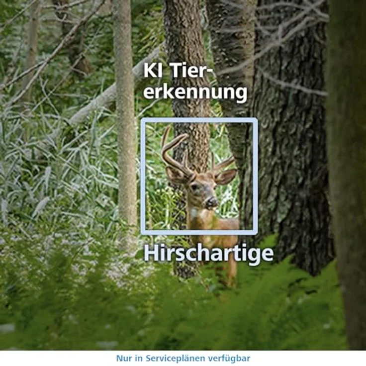 ZEISS Überwachungskamera Secacam 3, Wildkamera mit perfekten Tag- und Nachtbildern – Bild 4