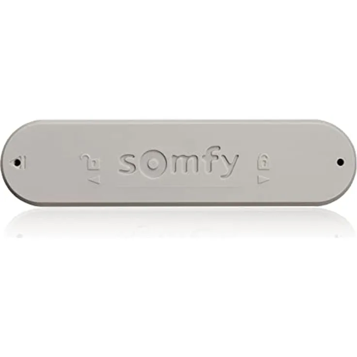 SOMFY Eolis 3D WireFree RTS bronzal 9013809