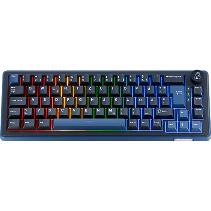 DUCKY OK-M-65 KTT Tactile, Mechanische Gaming-Tastatur mit DE Layout, Kabelgebunden, Schwarz