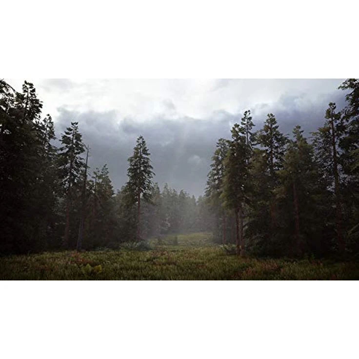Hunting Simulator 2 (PS4) – Bild 3