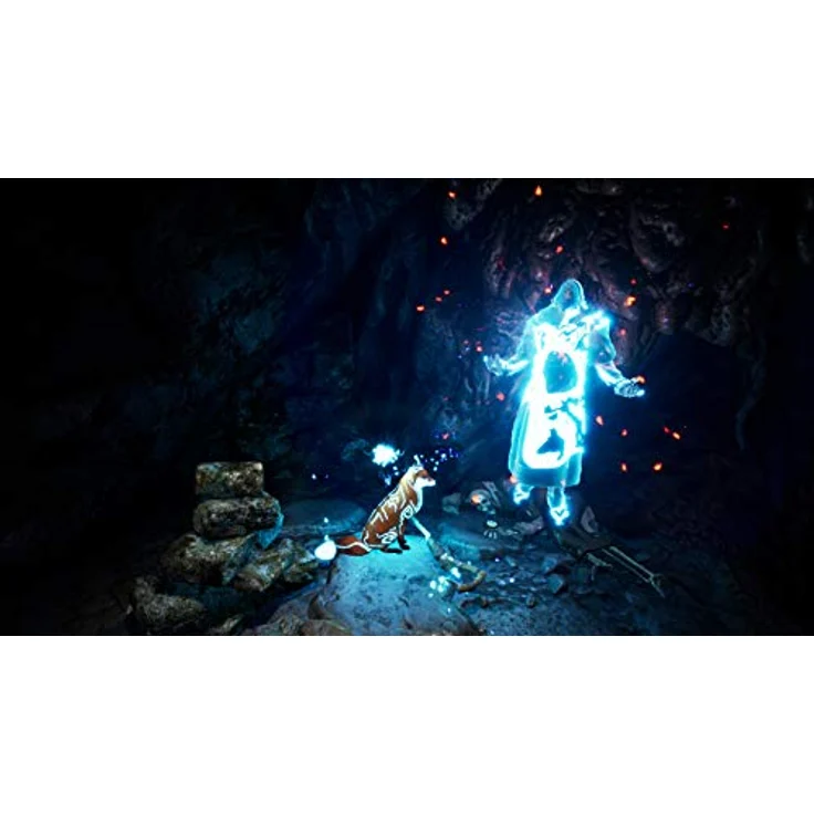 Spirit of the North (Switch) – Bild 5