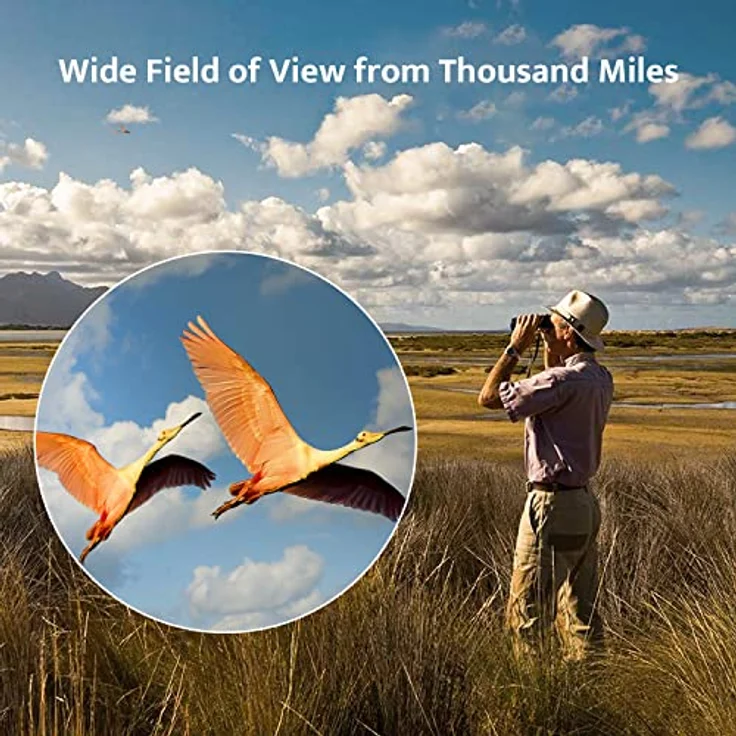 Usogood 12 x 50 Fernglas für Erwachsene, wasserdichtes Kompaktfernglas mit Stativ und Smartphone-Adapter für Vogelbeobachtung, Wandern und Reisen – Bild 5