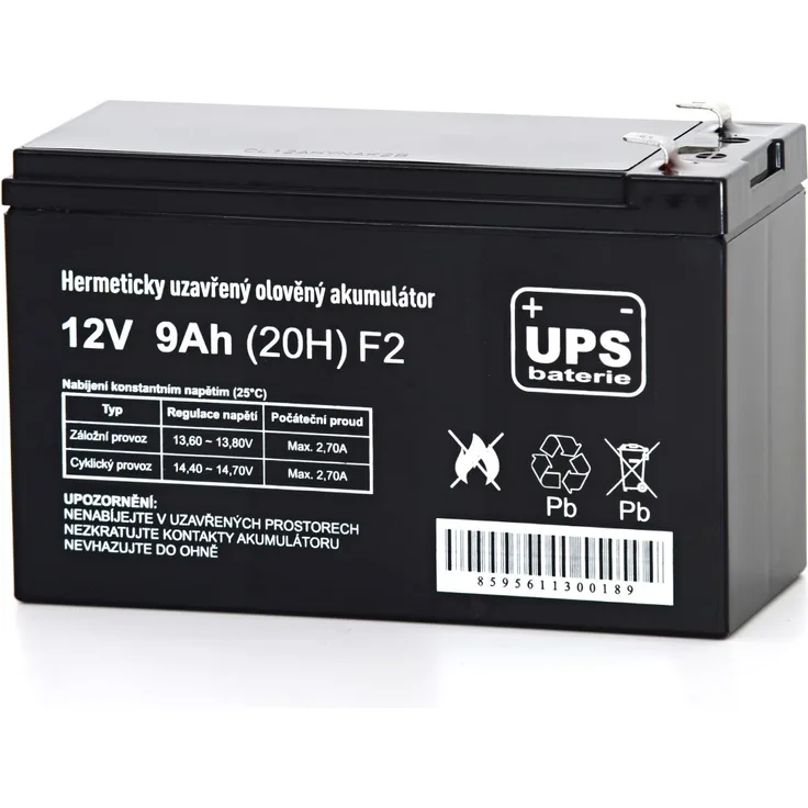 FIAMM USV-Batterie 12V 9Ah, VRLA AGM Technologie mit F2 Anschluss, wartungsfrei, hermetisch versiegelt