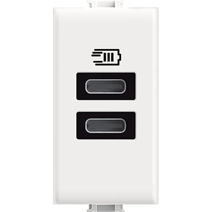 Bticino USB-Ladegerät mit Zwei Eingängen des Typs C, zum Installieren in der Matix-Platte, zum Aufladen eines elektronischen Geräts mit bis zu 15 W oder Zwei gleichseitigen Geräten, 1-Sitzer, Weiß
