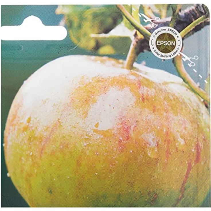 Epson T1295 Multipack Tintenpatrone – Bild 2