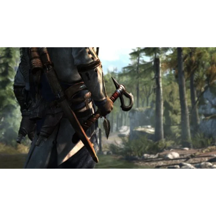 Assassin's Creed 3 (PC) – Bild 4