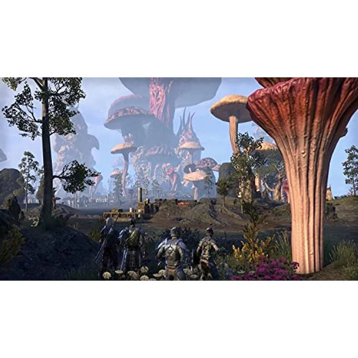 The Elder Scrolls Online (inkl. Morrowind) [inkl. Next-Gen-Upgrade] [PlayStation 4] – Bild 3