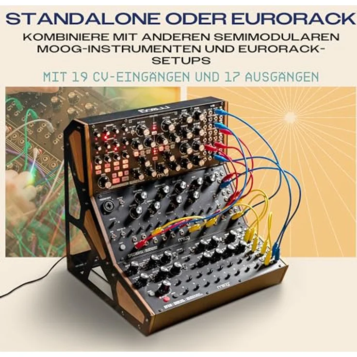 MOOG Spectravox semimodularer Analog Spektral-Prozessor mit CV-Filterbank/Vocoder, spannungsgesteuertem Oszillator, Kopfhörerausgang & 3.5mm Patchbay, lebhafter Sound und flexible Klangformungsfunktionen – Bild 5