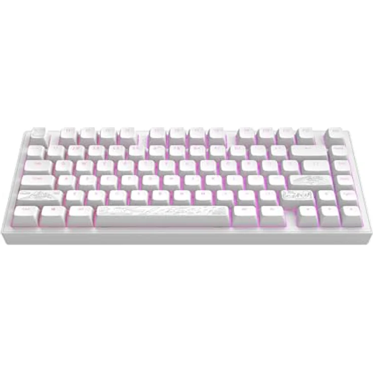 Dark Project ALU81A Terra Nostra Mechanische Gaming-Tastatur | ANSI ENG | G3MS Moonstone Schalter | Flex Gasket Mount | Aluminium | RGB – Bild 1