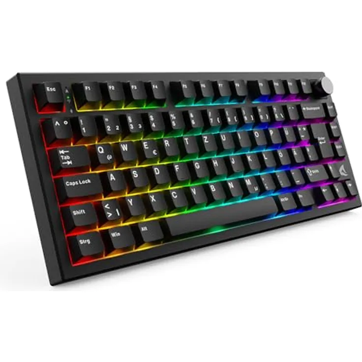 Sharkoon Skiller SGK55W, Kabellose Gaming Tastatur mit Gasket-Mount-Design, ARGB-Beleuchtung und Hot-Swap-PCB, Schwarz