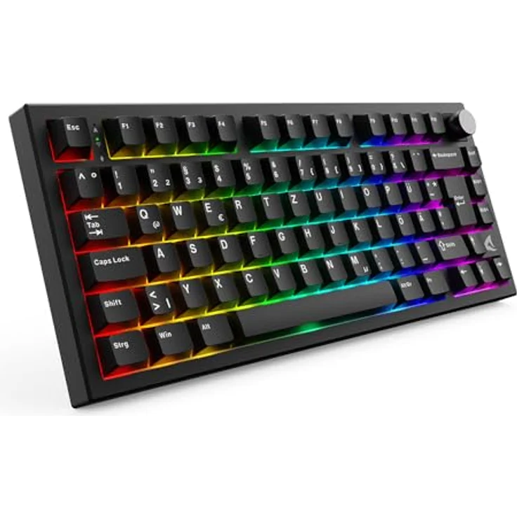 Sharkoon Skiller SGK55W, Kabellose Gaming Tastatur mit Gasket-Mount-Design, ARGB-Beleuchtung und Hot-Swap-PCB, Schwarz – Bild 1