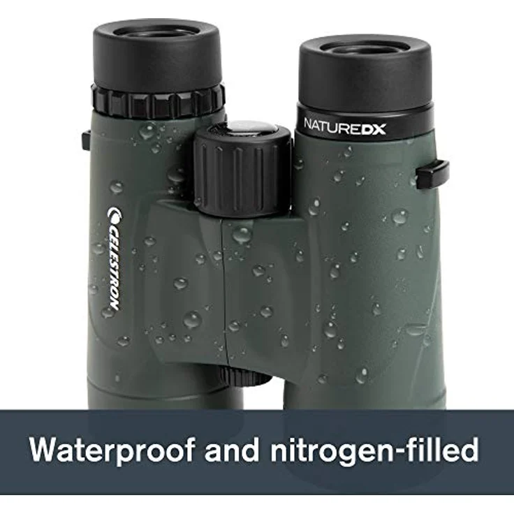 Celestron 71332 Nature DX 8 x 42 mm Ferngläser mit mehrfach vergütete Linse, BaK-4 Prismenlinse und Etui, Grün – Bild 5