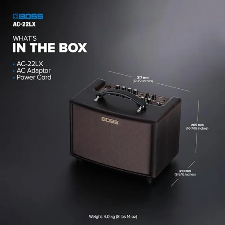 Boss by Roland AC-22LX Tragbarer Akustikverstärker mit 10W Stereo, XLR-Mikrofoneingang und integrierter Rhythmus-Box – Bild 8