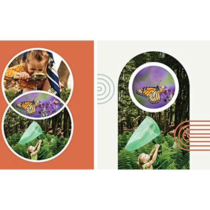 Adobe Photoshop Elements 2023|Standard |1 Gerät | PC/Mac | unbefristet | Box inkl. Aktivierungscode – Bild 5