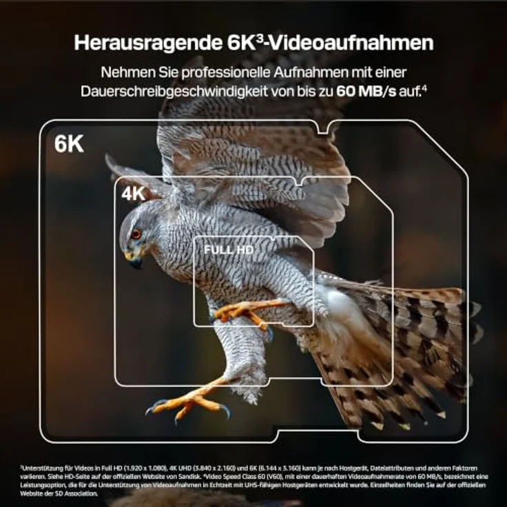 SanDisk SDXC Extreme PRO, 256 GB UHS-II V60 Karte mit 300 MB/s Lesegeschwindigkeit für 6K-Videoaufnahmen – Bild 2