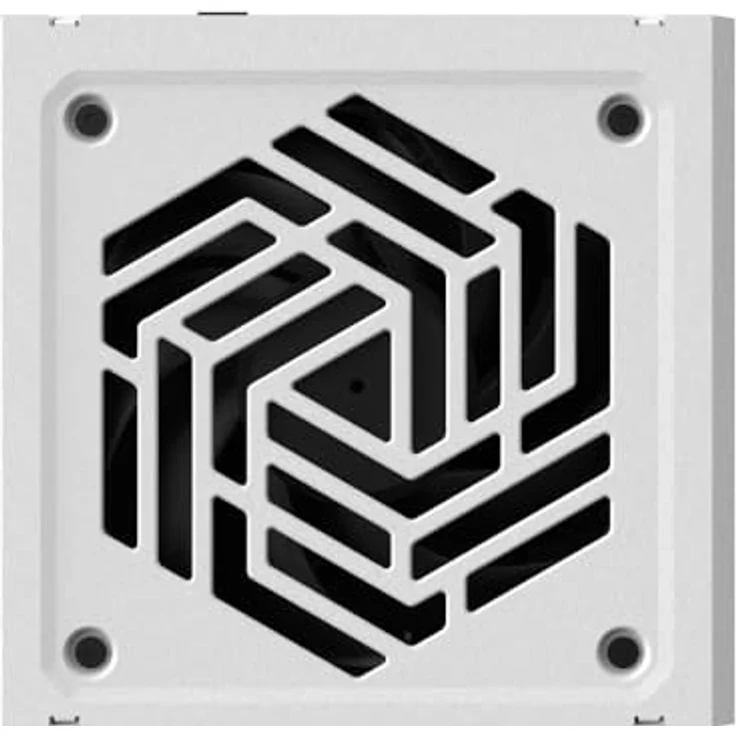 FSP VITA GM 1000W White, ATX 12V PC-Netzteil mit 80 PLUS Gold Effizienz – Bild 11