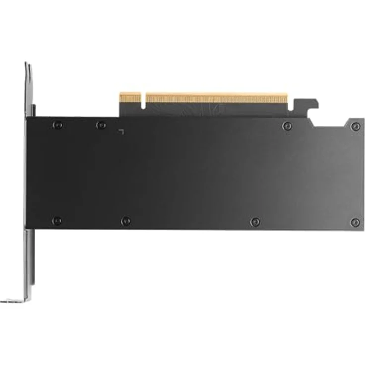 PNY NVIDIA RTX PRO 2000 Blackwell, 16GB GDDR6 ECC Grafikkarte mit 4xMini DP und PCIe 5.0 – Bild 4