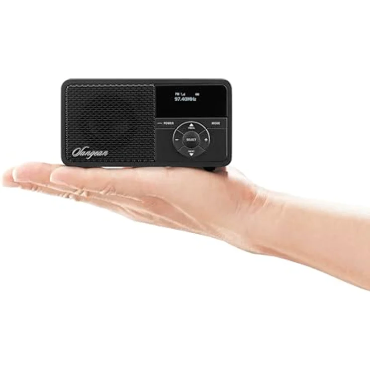Sangean DDR-7X Digitalradio mit Bluetooth, DAB+, UKW-RDS (FM), schwarz – Bild 6