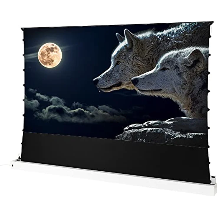 celexon elektrische CLR-Hochkontrast-Boden-Leinwand Plus für die Nutzung mit einem Ultra-Kurzdistanz-Beamer im Heimkino oder für Buisnessprojektionen - 120" Zoll - 265,6 x 149,4 cm - 4K 8K UHD - weiß – Bild 1