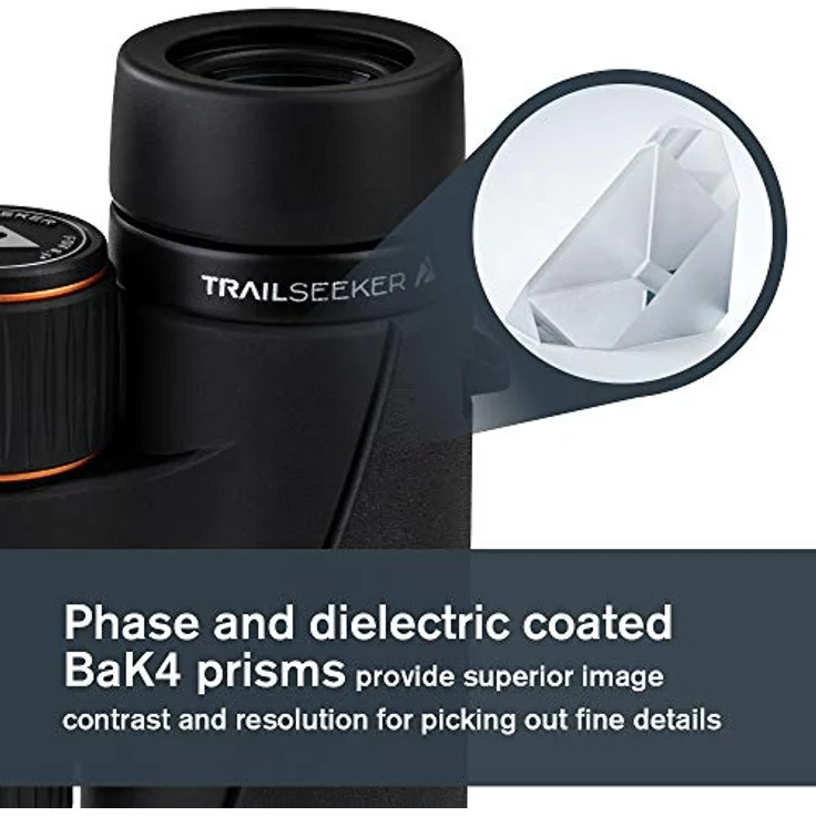 Celestron 71404 TrailSeeker 8 x 42 Fernglas – Grün – Bild 3
