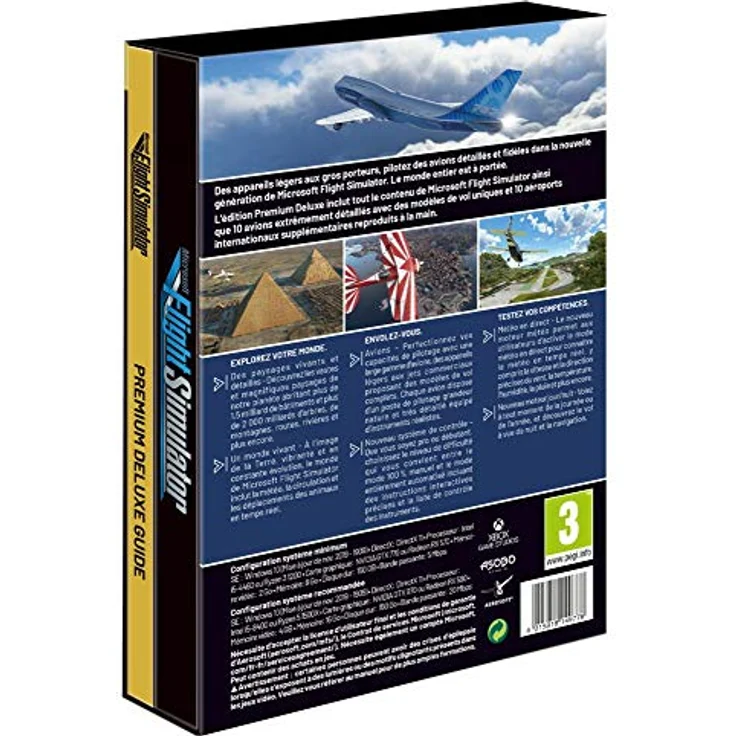 FLIGHT SIM PARENT – Bild 3