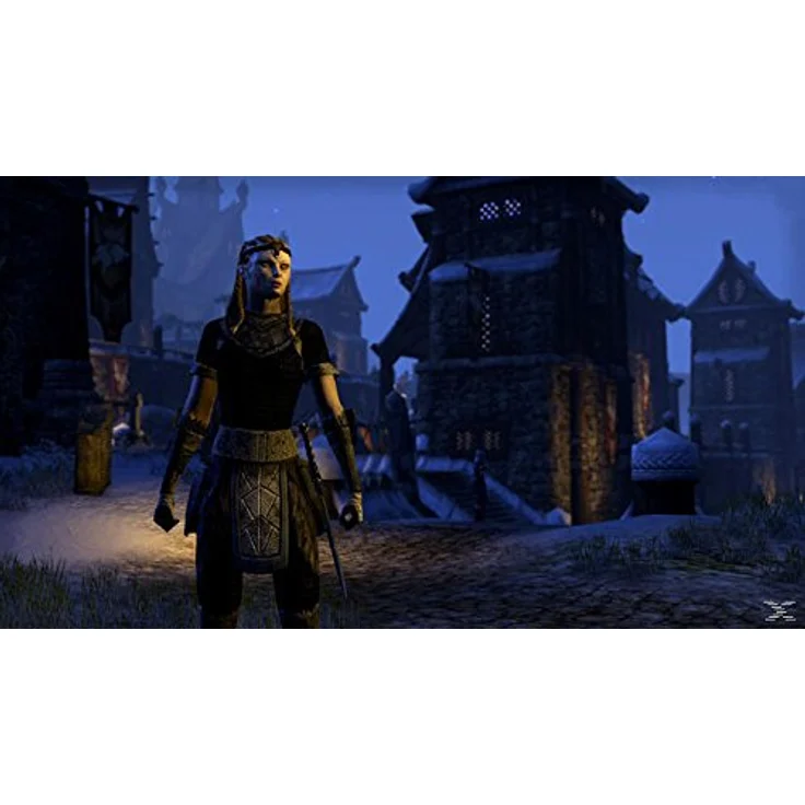 The Elder Scrolls Online: Tamriel Unlimited (Day One Edition) (PC) – Bild 1