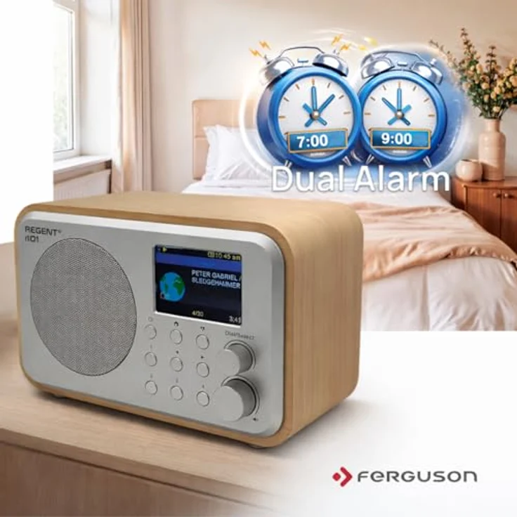 Ferguson Regent i101 Internetradio, WLAN Radio mit Bluetooth, FM/DAB/DAB+, Farbdisplay, 2000-mAh-Akku, Radiowecker, Equalizer, USB-C, Fernbedienung – Bild 5