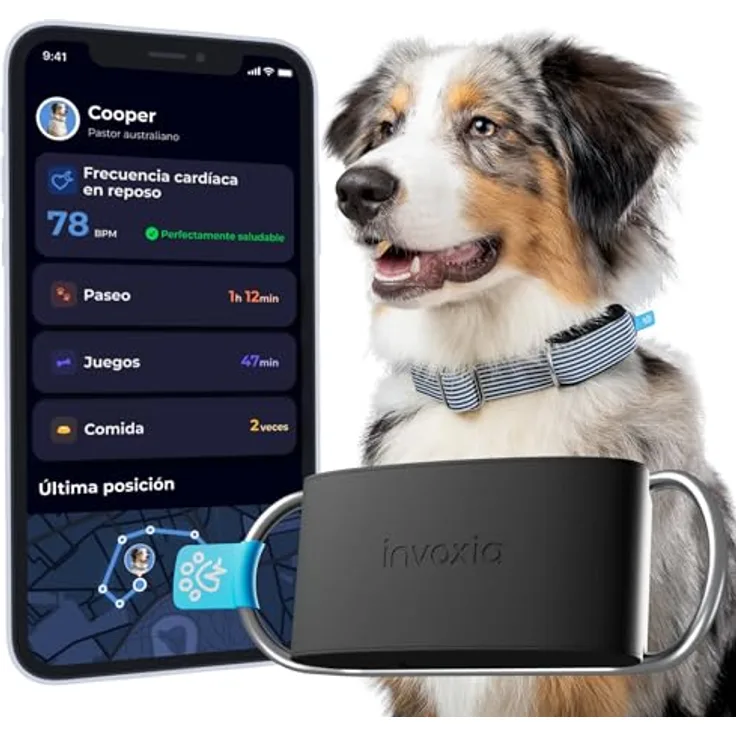 Invoxia Minitailz, GPS- und Gesundheitstracker für Hunde, Fluchtwarnungen, Atemscan, Echtzeit Ortung, USB wiederaufladbar, virtuelle Zone und Zaun