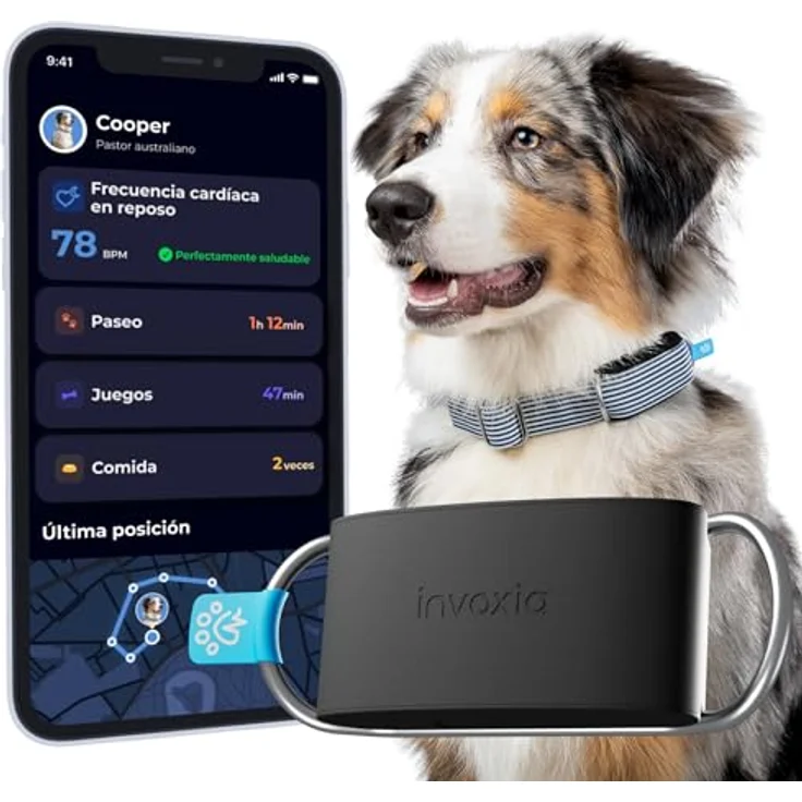 Invoxia Minitailz, GPS- und Gesundheitstracker für Hunde, Fluchtwarnungen, Atemscan, Echtzeit Ortung, USB wiederaufladbar, virtuelle Zone und Zaun – Bild 1
