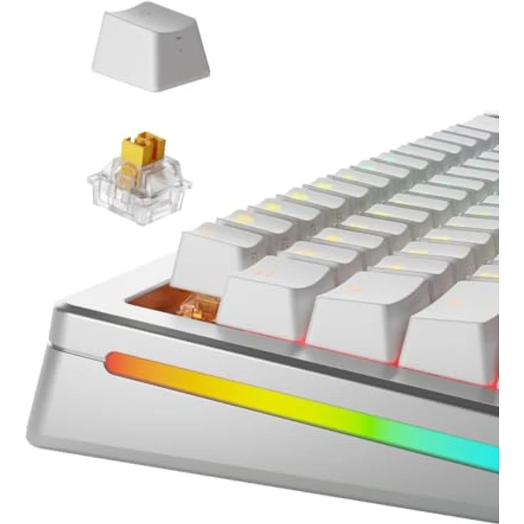 Glorious Panda HE Standard Switches, Hall-Effekt, taktil, MX-Stem, 45g - lubed, 36 Stück – Bild 2