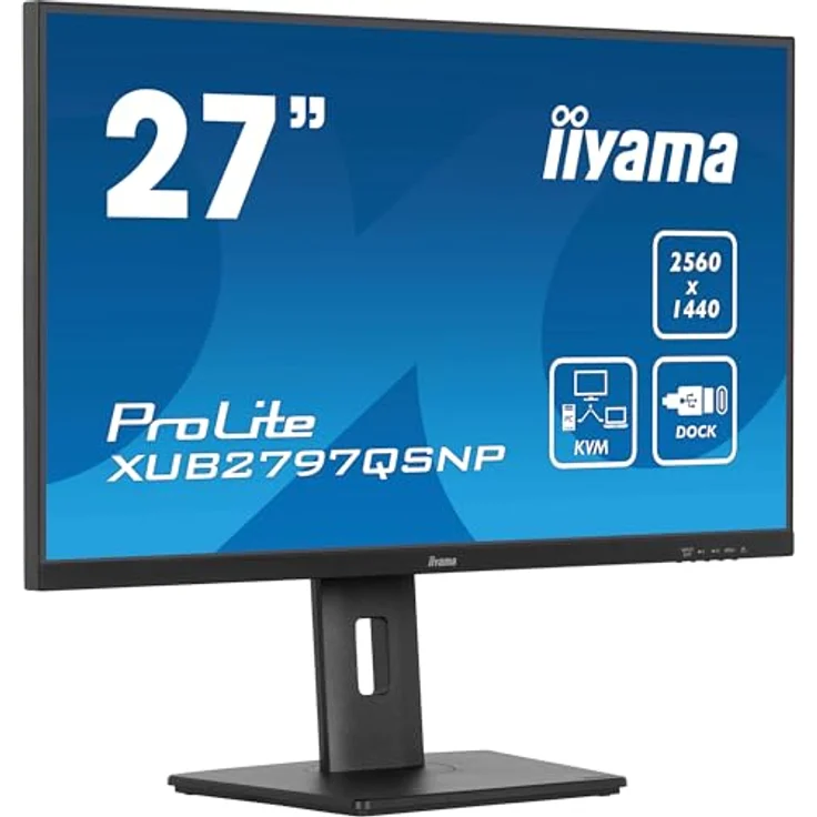 iiyama Prolite XUB2797QSNP-B1 27" IPS LED-Monitor WQHD 100Hz HDMI DP-in/Out DaisyChain USB-C Dock 96W LAN KVM-Switch schwarz - Preisvergleich – Bild 1