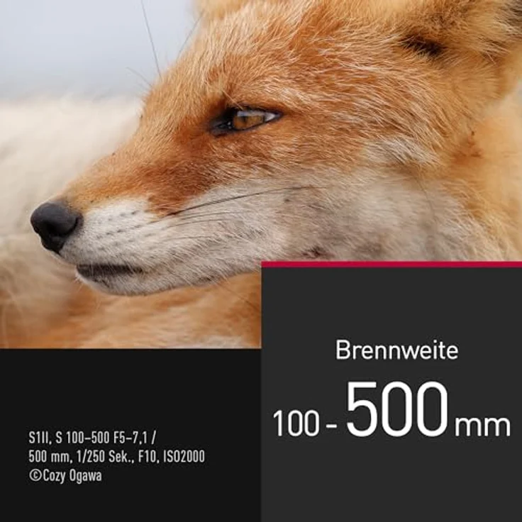 Panasonic LUMIX S-R100500E, Telezoom-Objektiv 100-500 mm F5-7.1 O.I.S., wetterfest, 0,8 m Naheinstellgrenze, anpassbarer Fokusring, Schwarz – Bild 3