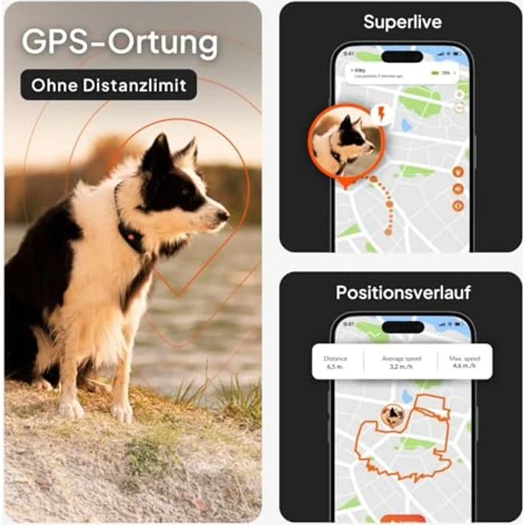 Weenect Hund XT GPS-Halsband für Hunde, wasserdicht, mit XL-Antenne und integriertem Julius-K9 Halsband, gelb, Abonnement erforderlich – Bild 3