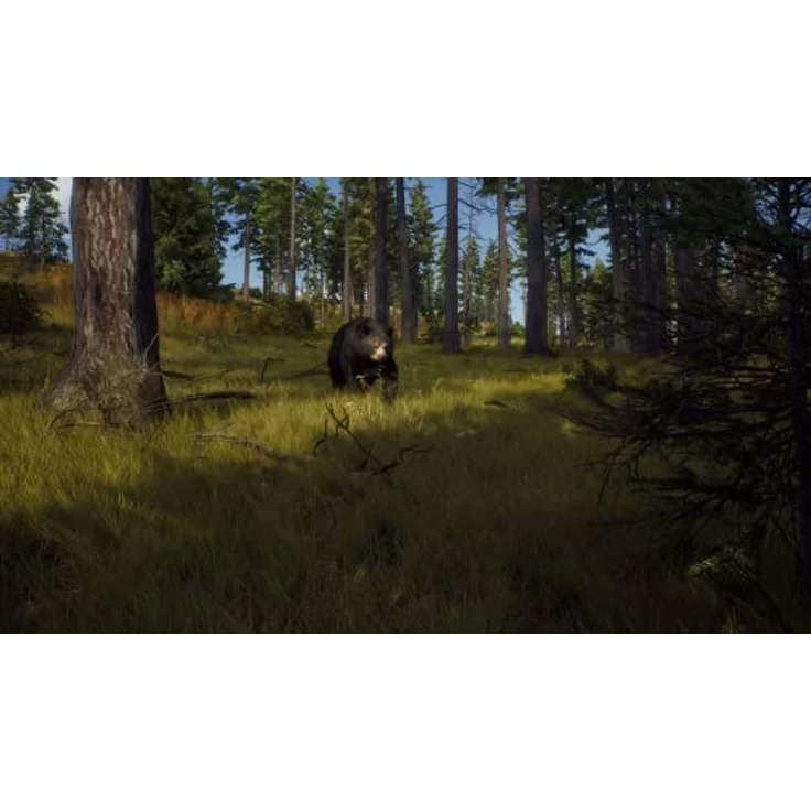 THQ Nordic Way of the Hunter - PC, realistisches Jagdsimulationsspiel mit Team-Modus, 2 große Jagdgebiete á 140 km², rückspulbare Geschosskamera, komplexes Trophäensystem – Bild 3