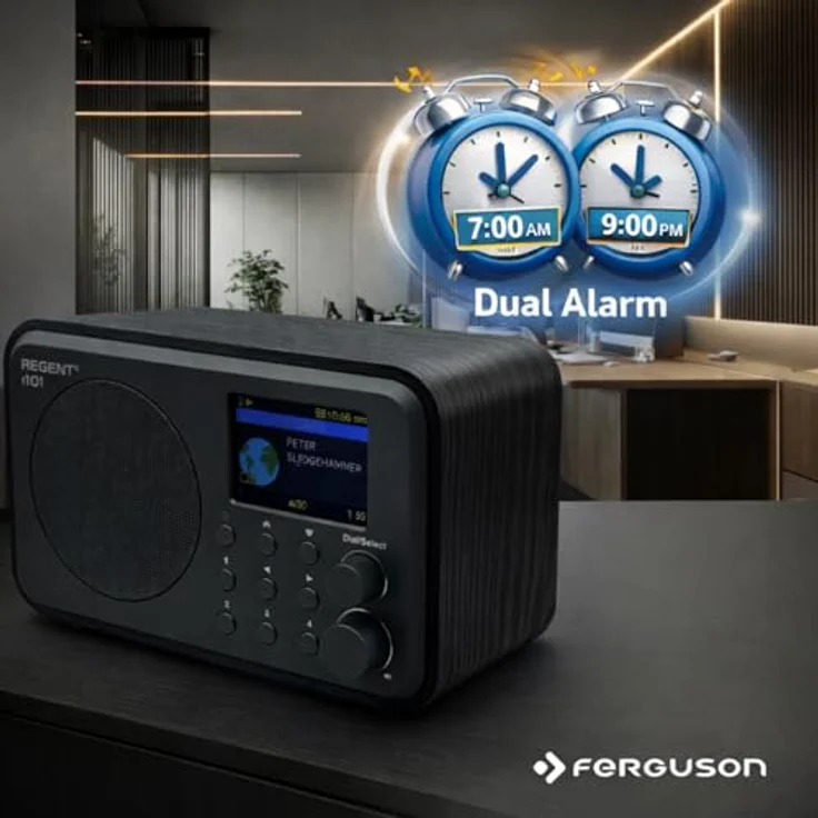 Ferguson Regent i101, Internetradio WLAN mit Bluetooth, DAB+/FM, Radiowecker, 2,4" TFT-Farbdisplay, Akku, USB-C, Fernbedienung – Bild 5