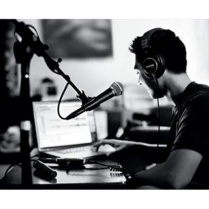 Shure-SM58-Gesangsmikrofon – Bild 2