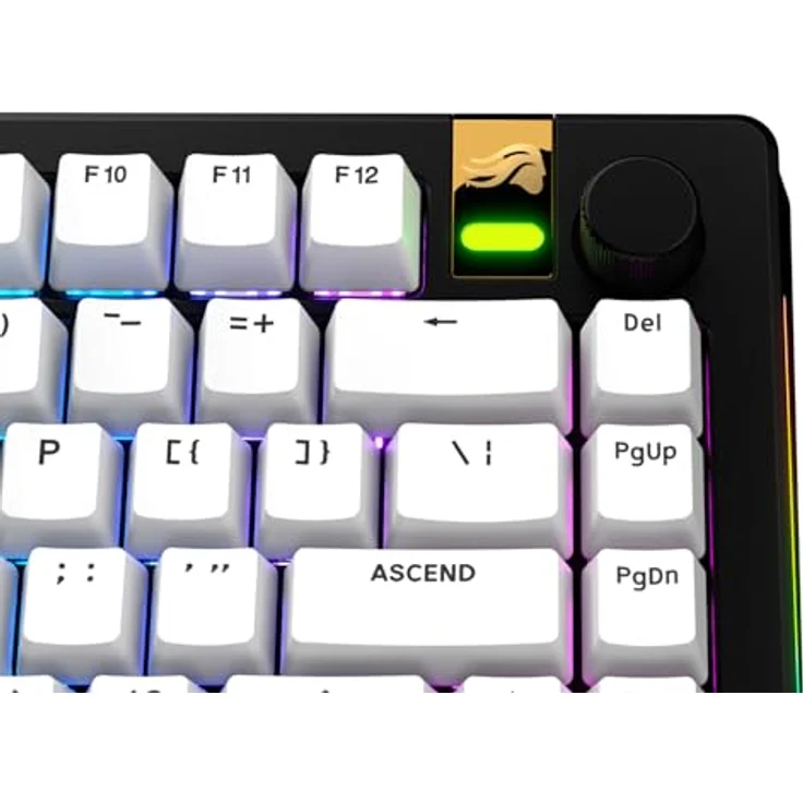 Glorious GPBT Basics Keycaps, ANSI Layout (US), PBT, Doubleshot - Classic White – Bild 6