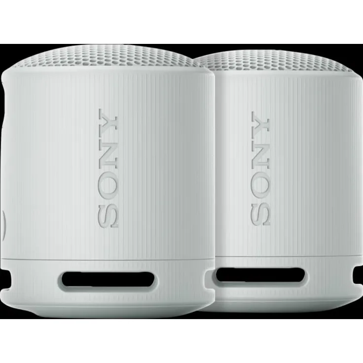 Sony SRS-XB100 Duo Pack, Bluetooth Lautsprecher mit 16 Stunden Akkulaufzeit, grau, staub- und wasserdicht (IP67)