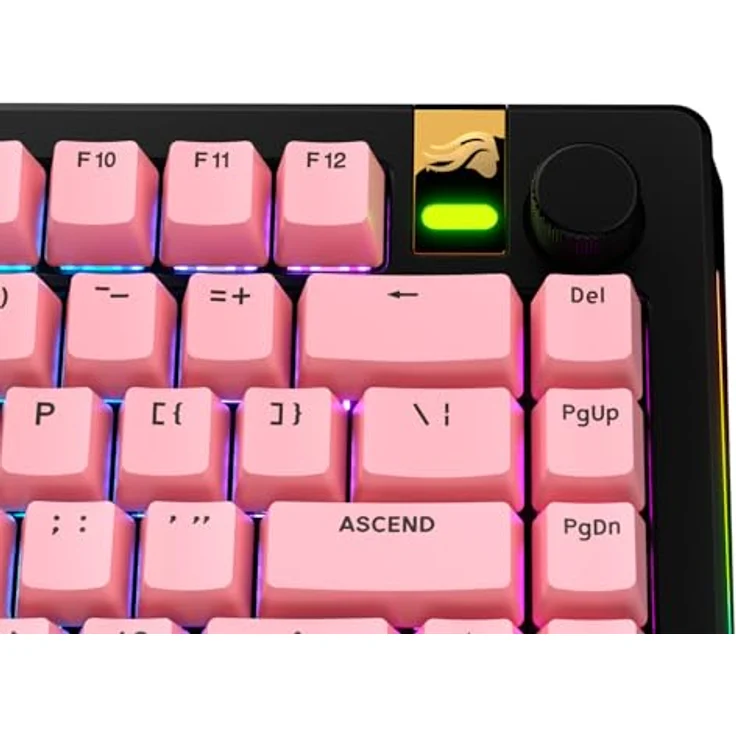Glorious GPBT Basics Keycaps, ANSI Layout (US), PBT, Doubleshot - Potion Pink – Bild 7