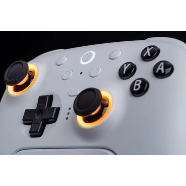 8bitdo Ultimate 2 Wireless Gaming Controller für Windows und Switch ...