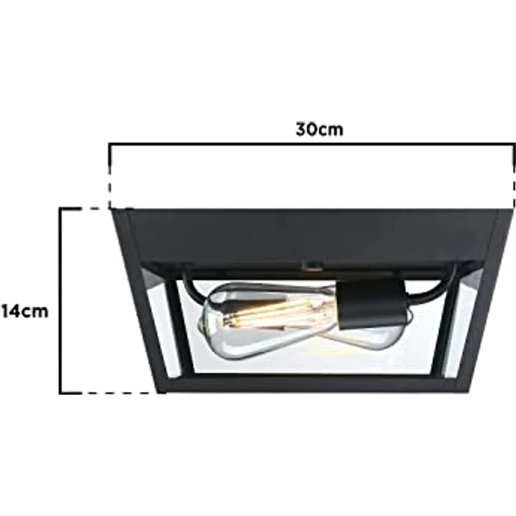 Westinghouse Lighting 6121940 Moderne zweiflammige Leuchte Peterson Deckenmontage, strukturiertes Schwarz mit Klarglas – Bild 3