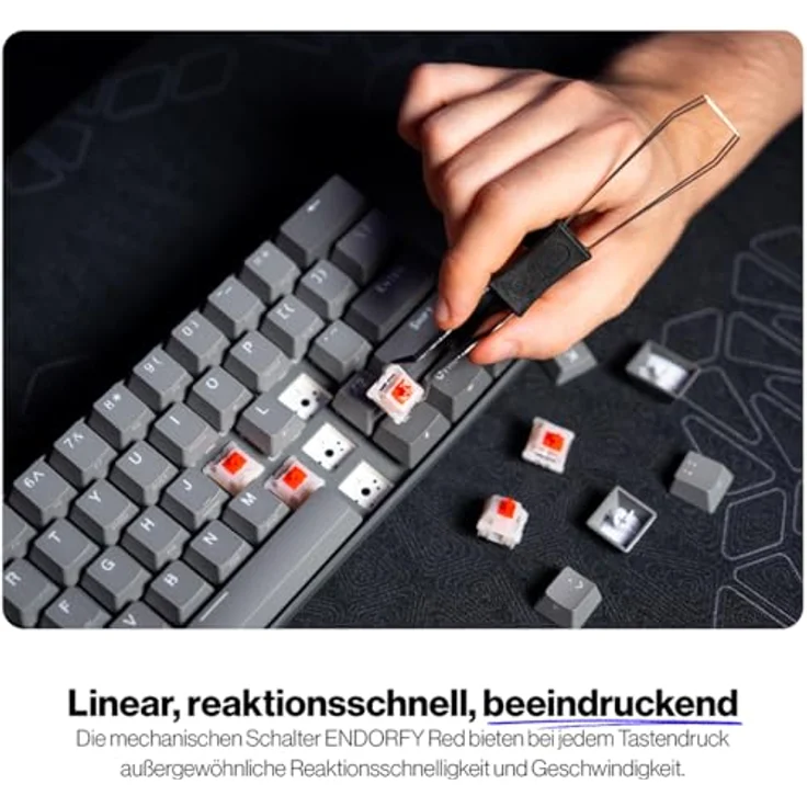Endorfy Thock V2 Compact, Mechanische Gaming-Tastatur mit USB-Anschluss und ARGB-Beleuchtung, US Layout – Bild 4