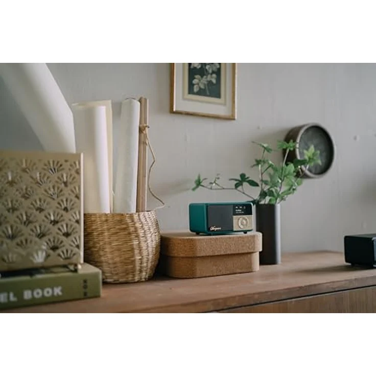 Sangean DDR-7X Digitalradio mit Bluetooth, DAB+, UKW-RDS (FM), grün – Bild 4