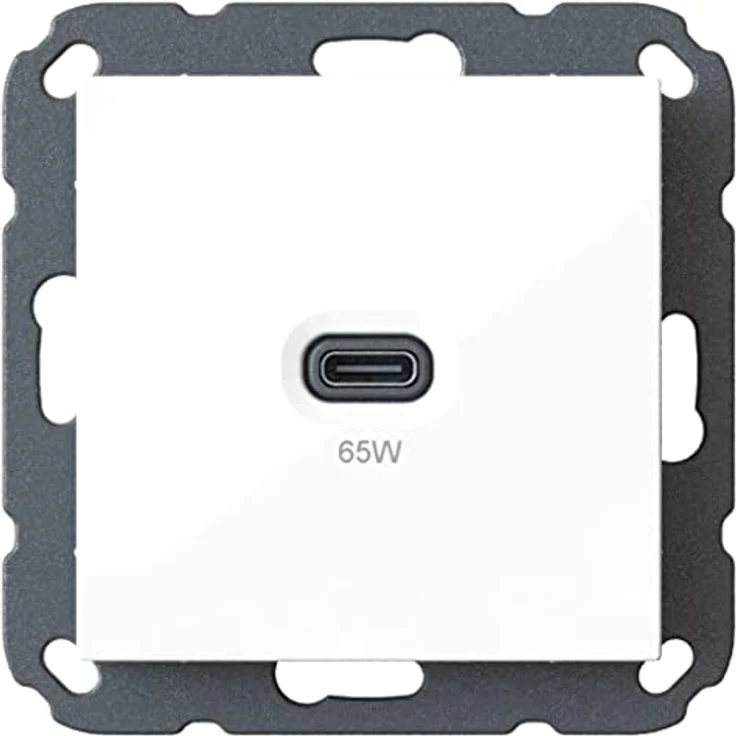 Unterputz USB-Ladestation mit USB-C 65 Watt Charger/Lader 6560x0000 zur Hausinstallation, für gängige Schalterprogramme (55x55mm), Power Delivery (PD), T65.00 Professional – Bild 1