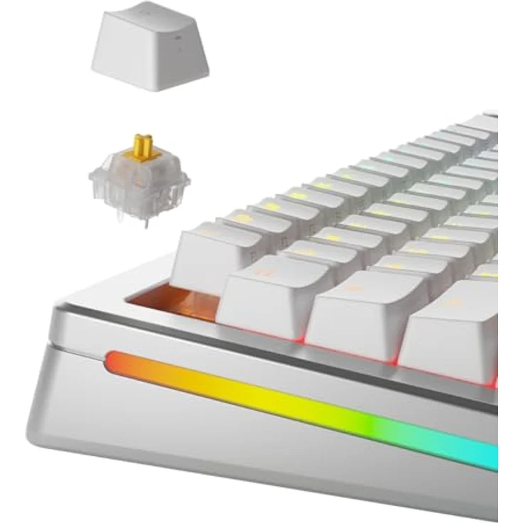 Glorious Panda Silent Switches, mechanisch, 5-Pin, taktil, MX-Stem, 50g - lubed, 36 Stück – Bild 2
