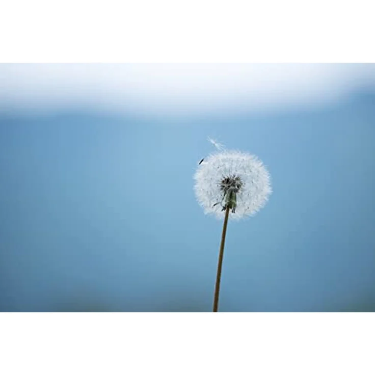 TAMRON 70-300mm F/4.5-6.3 Di III RXD, Objektiv für Nikon Z, A047 – Bild 3