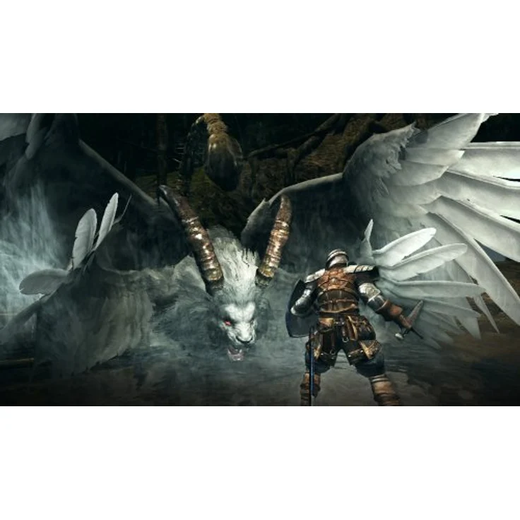 Dark Souls - Prepare to Die Edition (Xbox 360) – Bild 6