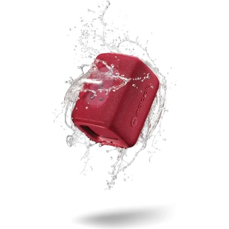 Rot