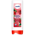 Joolea Color & Farbglanz Spülung